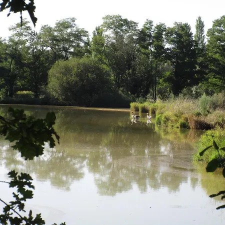 Espace Nature Independant Proche Du Parc Des Oiseaux *