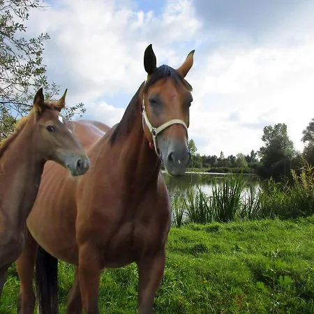 Bed & Breakfast Espace Nature Independant Proche Du Parc Des Oiseaux Sainte-Olive