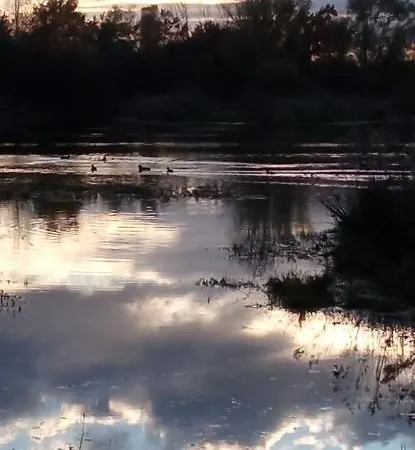 Bed & Breakfast Espace Nature Independant Proche Du Parc Des Oiseaux Sainte-Olive
