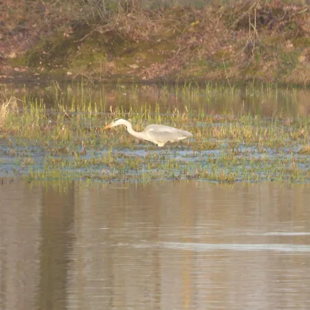 Espace Nature Independant Proche Du Parc Des Oiseaux Bed & Breakfast Sainte-Olive