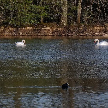 Espace Nature Independant Proche Du Parc Des Oiseaux Bed & Breakfast *
