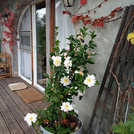 Espace Nature Independant Proche Du Parc Des Oiseaux Bed & Breakfast Sainte-Olive