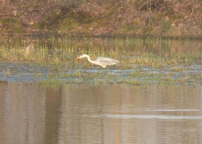 Espace Nature Independant Proche Du Parc Des Oiseaux Отель типа 