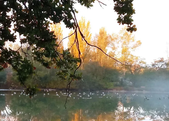 Bed & Breakfast Espace Nature Independant Proche Du Parc Des Oiseaux