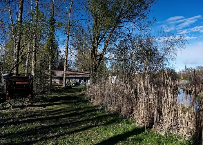 Espace Nature Independant Proche Du Parc Des Oiseaux Отель типа 