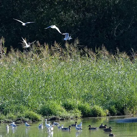 Espace Nature Indépendant Proche Du Parc Des Oiseaux * Sainte-Olive