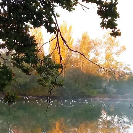 Oda ve Kahvaltı Espace Nature Independant Proche Du Parc Des Oiseaux